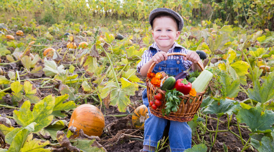 Thanksgiving is a Time of Giving