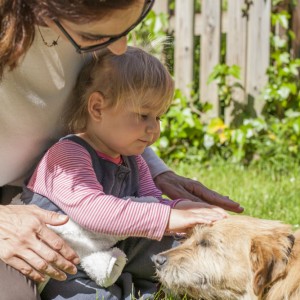 preventing dog bites