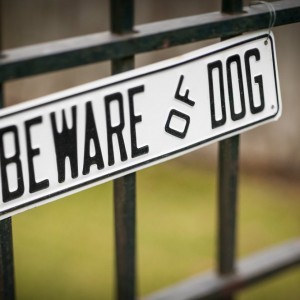 Beware of dog sign