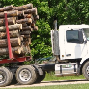 Logging truck falling debris