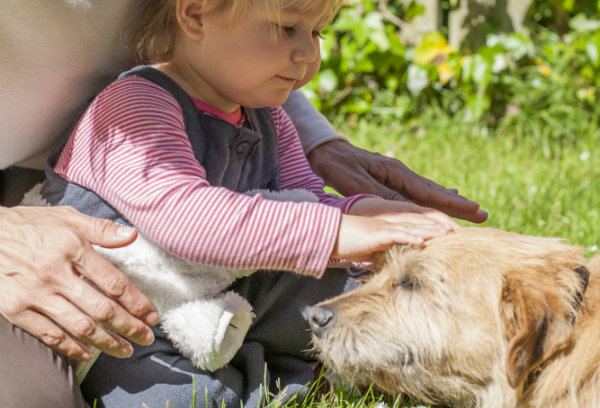 Dog Bite Prevention Week