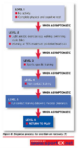 Concussion flowchart brain injury trauma