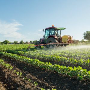 non hodgkins lymphoma monsanto roundup lawsuits roundup side effects roundup exposure symptoms Monsanto Roundup Roundup exposure