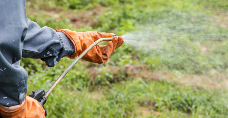 $289 Million Verdict Against Monsanto in First Roundup Cancer Trial