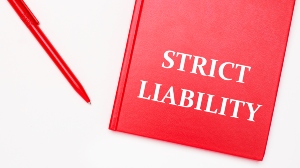 strict liability product liability is this product safe safe product