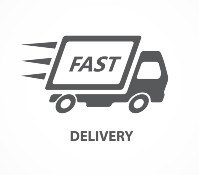 Fast Delivery commercial vehicle