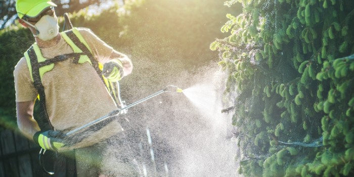 Signs of Exposure to Paraquat