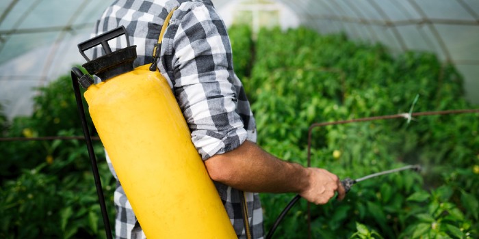 Paraquat Litigation Update