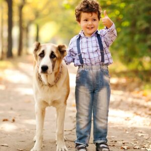 preventing dog bites
